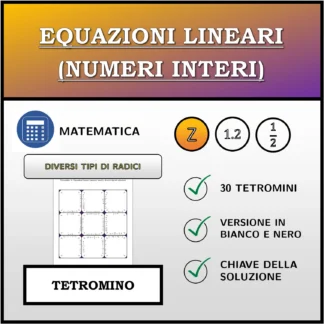 Tetramino: Equazioni lineari (numeri interi), diversi tipi di soluzioni