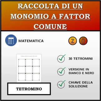 Tetramino: Raccolta di un monomio a fattor comune